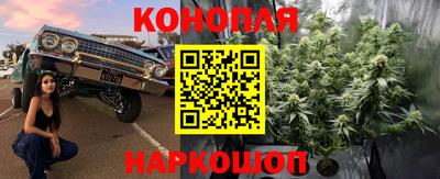 ПСИЛОЦИБИНОВЫЕ ГРИБЫ Аргун