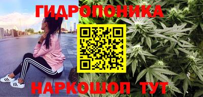 ПСИЛОЦИБИНОВЫЕ ГРИБЫ Аргун