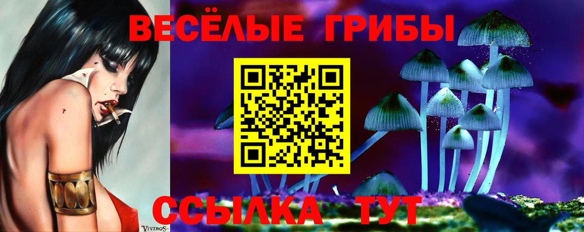 Псилоцибиновые грибы мицелий  Вход с VPN  Будённовск  Псилоцибиновые грибы MAGIC MUSHROOMS 