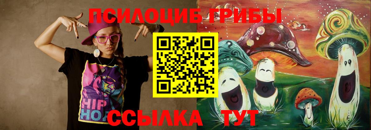 Галлюциногенные грибы Psilocybine cubensis Будённовск